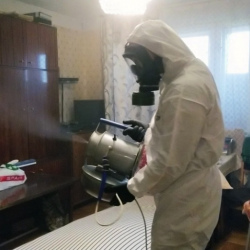 Дезинфекция от клопов в Лодейном Поле