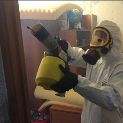 Уничтожение клопов в квартире. Лодейное Поле